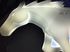 china latest news about Evaporation coating for Mustang Logo